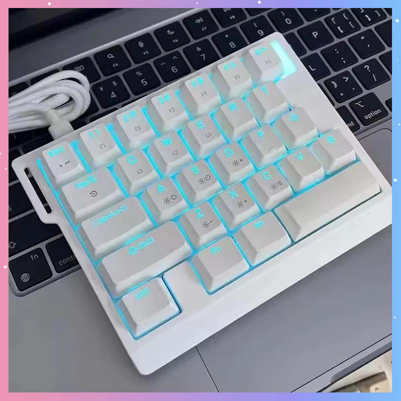 HE30 メカニカルゲーミングキーボード 29キー 磁気スイ - Gaming Keyboard Esports のレビューと価格